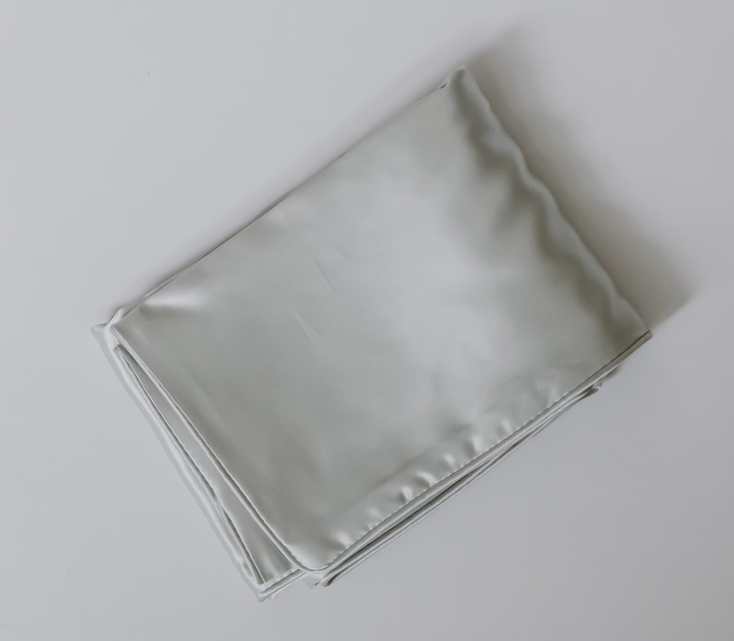 THE SILVER SLIP