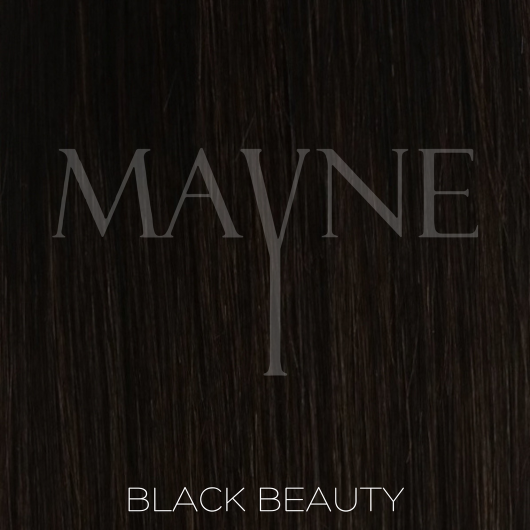 HALO MAYNE - BLACK BEAUTY